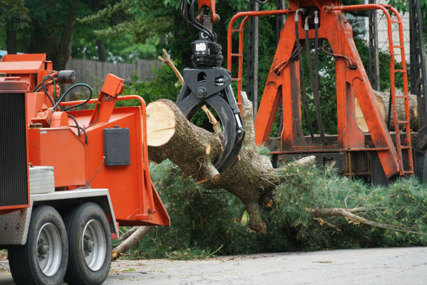 Lawn Watering Services in Hudson, IA